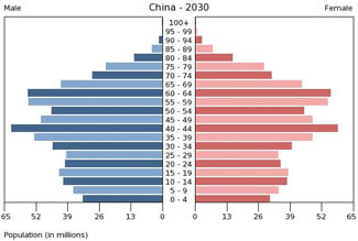 retirement_demo_2030_china