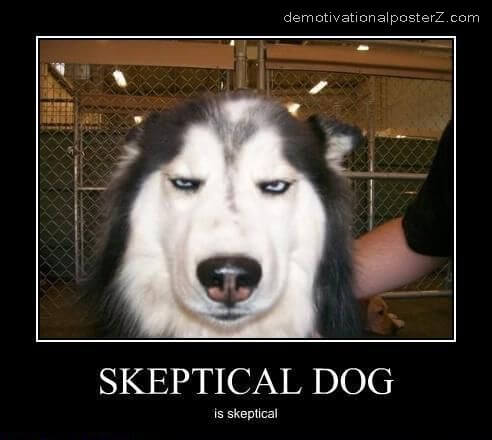 skepticaldog