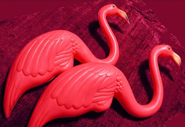 Union-Products-Flamingos-960x691