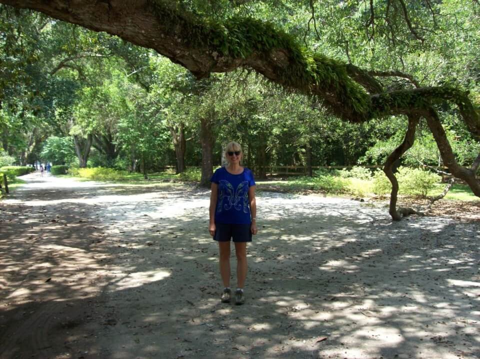 me under the old oak tree