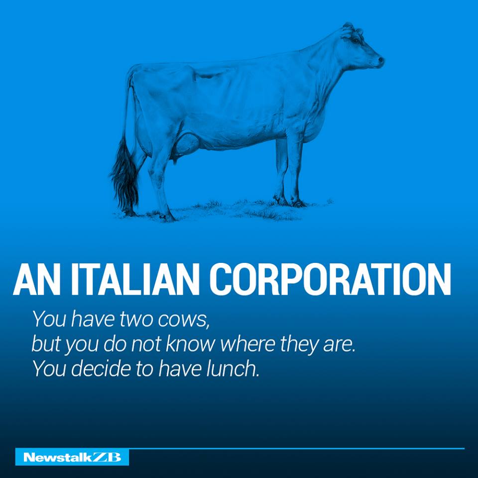 italian two cow