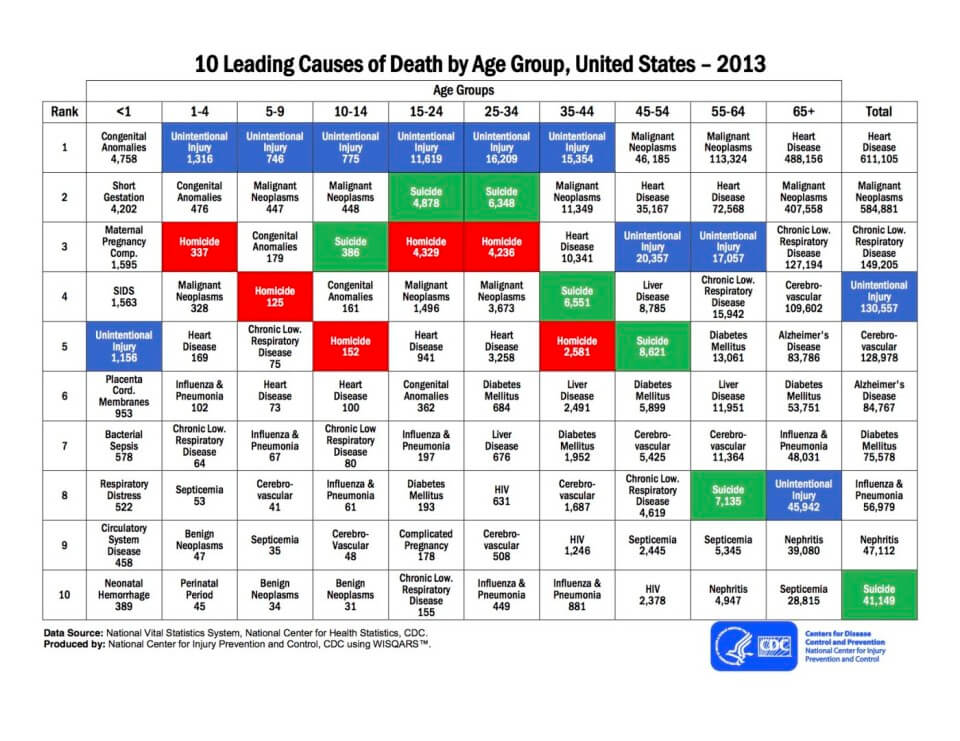 leading_causes_of_death_by_age_group_2013-a