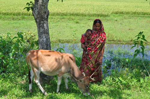 640px-A_village_women_in_Bangladesh