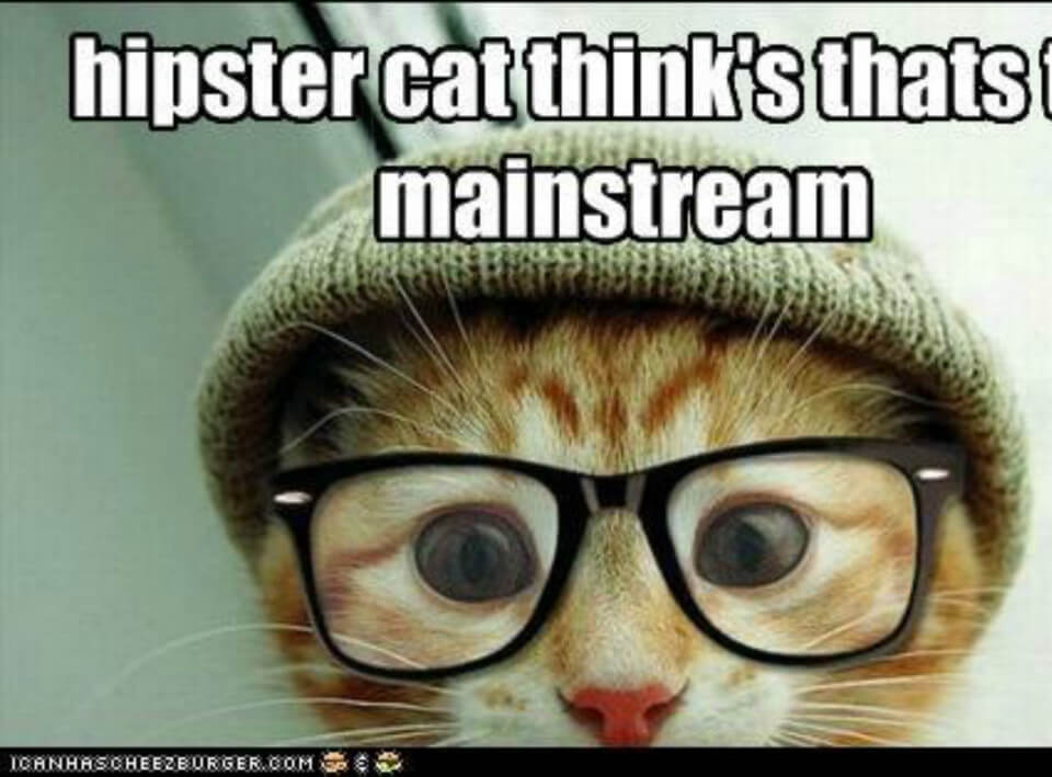 hipster-cat-think-s-thats-too-mainstream--source