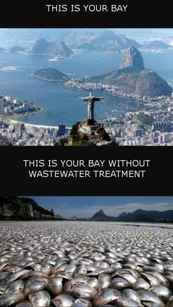 Olympics water quality meme