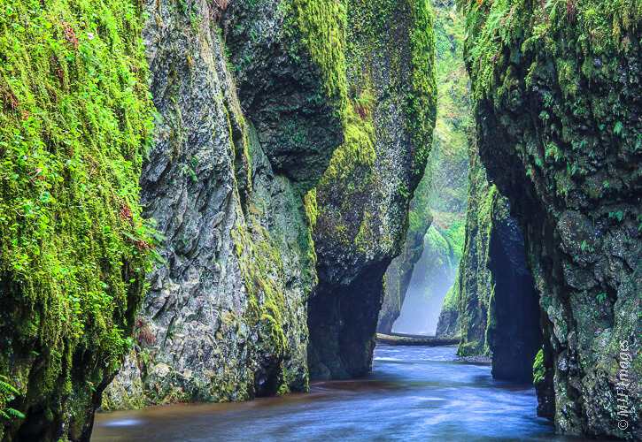 Oneonta Gorge is a lush slot canyon in Oregon's Columbia River Gorge Scenic Area.