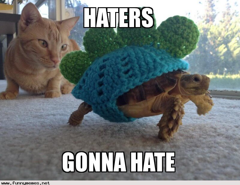 haters-cat-turtle