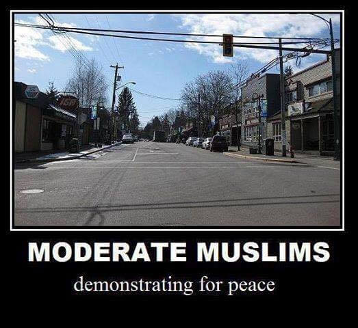 moderatemuslims