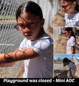 MiniAOC-276x300.png