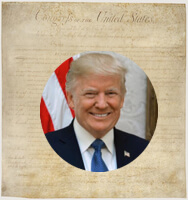 Bill of Rights and Trump