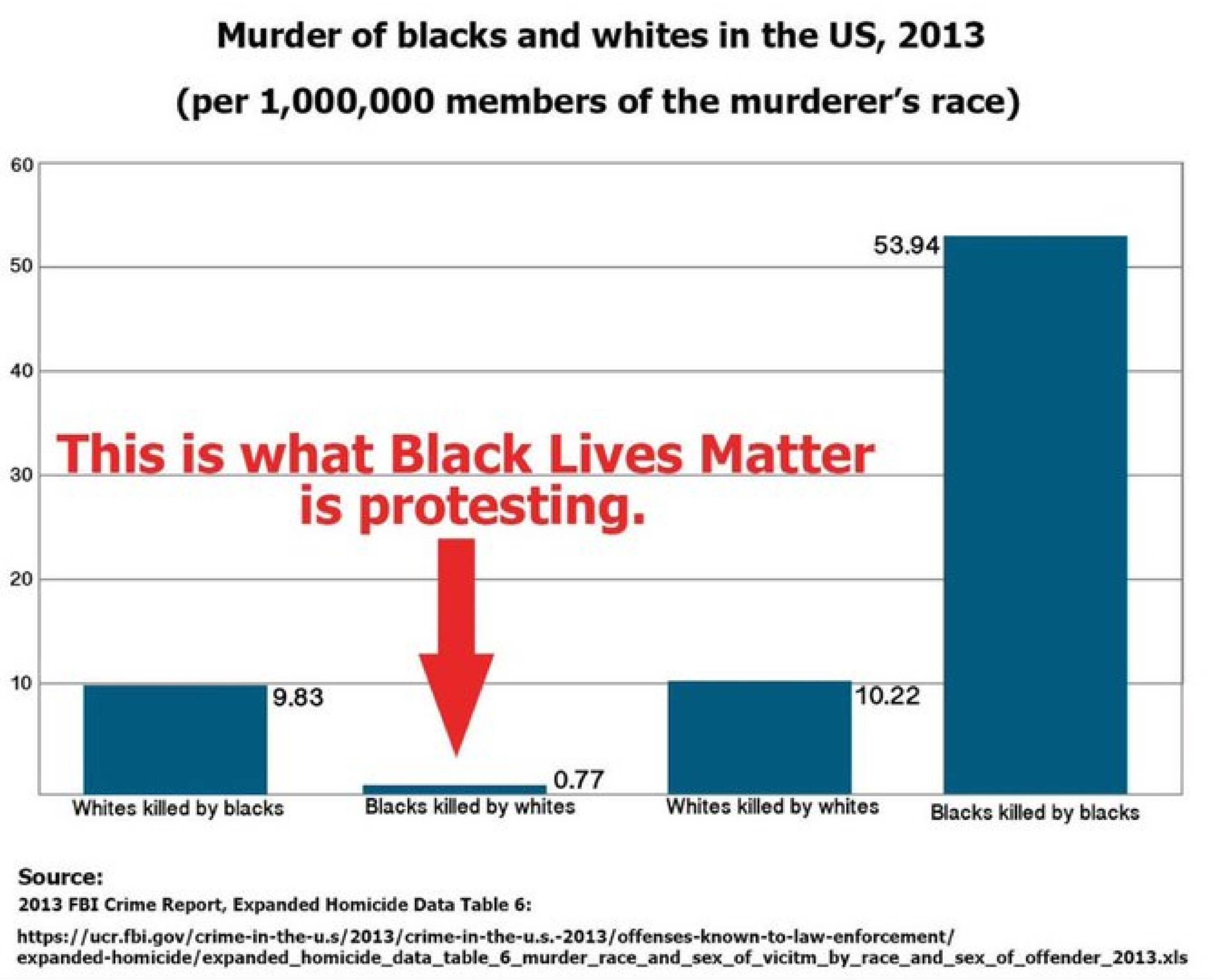 murder-and-race-in-the-united-states-ricochet